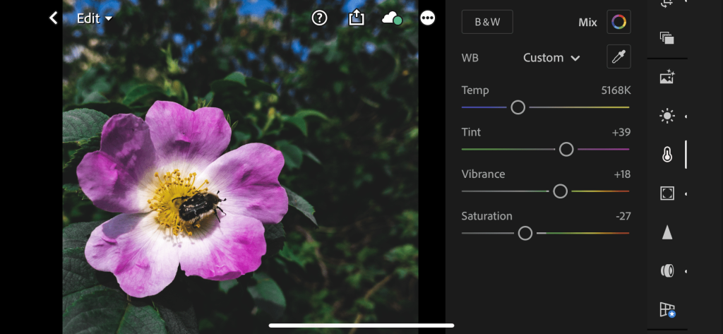 Halide 및 RAW(DNG)로 iPhone 사진 개선