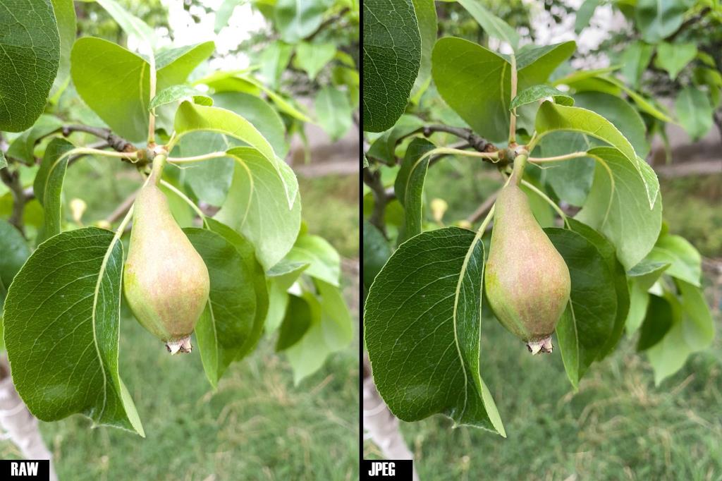 Halide 및 RAW(DNG)로 iPhone 사진 개선
