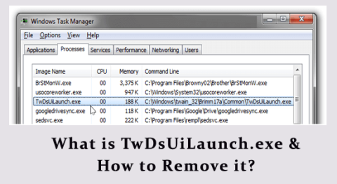 TwDsUiLaunch.exe とは何ですか、それを削除する方法は?