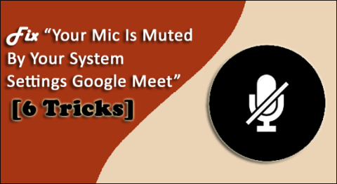 Remediați „Microfonul este dezactivat de setările sistemului Google Meet” [6 trucuri]