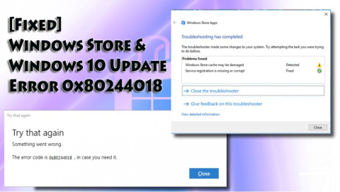 [已修復] Windows 應用商店和 Windows 10 更新錯誤 0x80244018