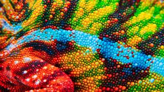 Come modificare i temi dei colori di Microsoft Office