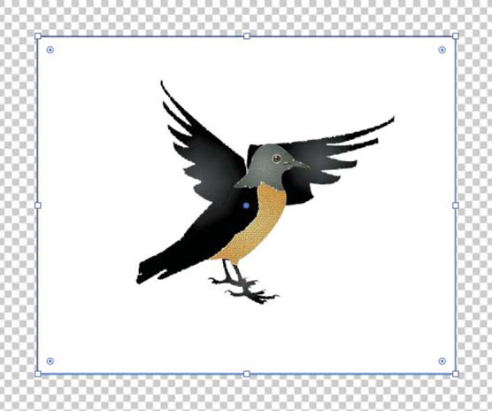 如何將透明度應用於 SVG