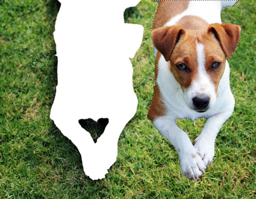 Come spostare e clonare le selezioni in Photoshop CS6