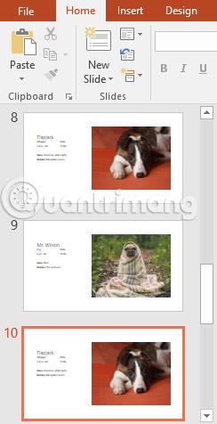 PowerPoint 2016: основы работы со слайдами