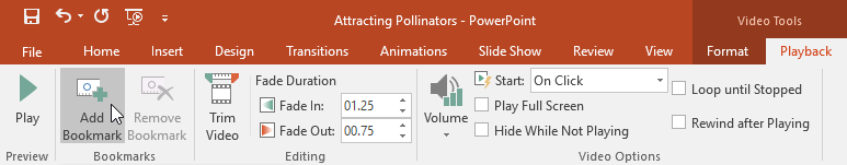 PowerPoint 2019 (часть 19): вставка видео
