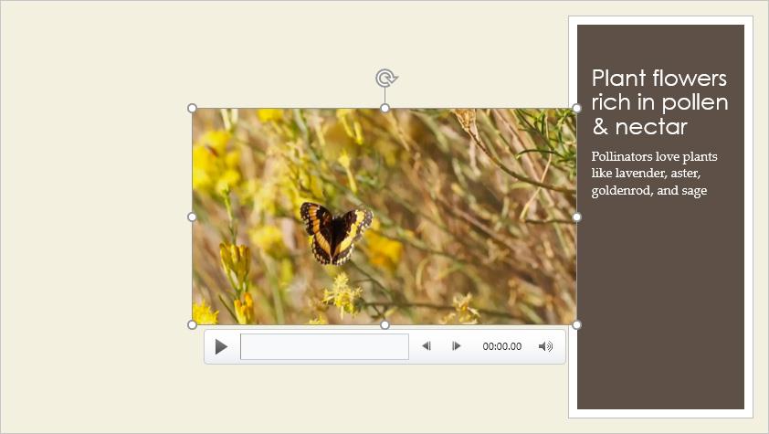 PowerPoint 2019 (часть 19): вставка видео