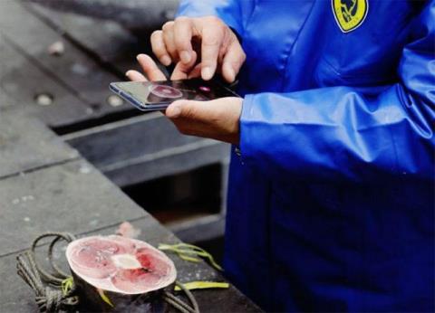 Los restaurantes de sushi japoneses utilizan IA para evaluar la calidad de cada trozo de atún con gran precisión Los restaurantes de sushi japoneses utilizan IA para evaluar la calidad de cada trozo de atún con gran precisión