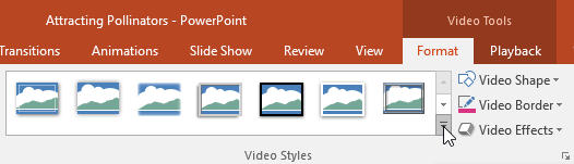 PowerPoint 2019 (часть 19): вставка видео