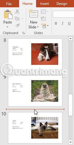 PowerPoint 2016: основы работы со слайдами