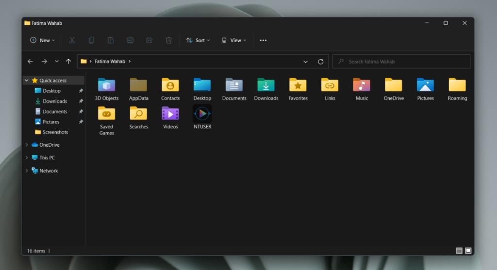¿Dónde está la carpeta appdata en Windows 11?