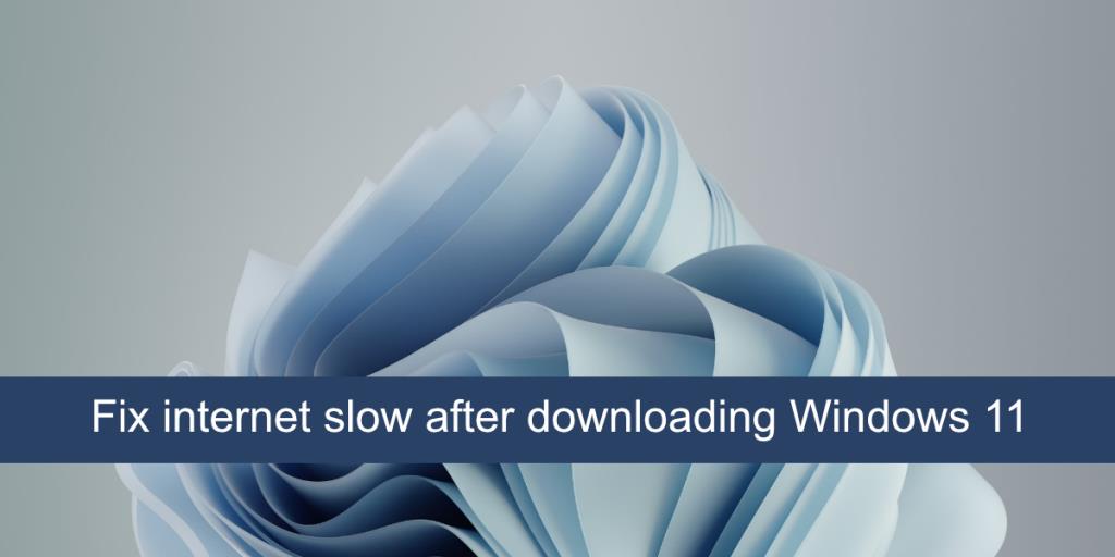 Windows 11 다운로드 후 인터넷 속도 저하 문제를 해결하는 방법
