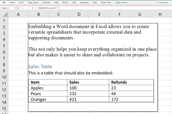 Excel に Word 文書を埋め込む方法: 3 つの簡単な方法