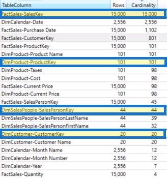 DAX Studio 中的 VertiPaq 分析器 |  LuckyTemplates 教程