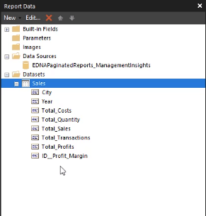 如何將數據集導入 Report Builder