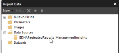如何將數據集導入 Report Builder