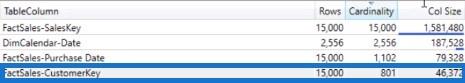 DAX Studio 中的 VertiPaq 分析器 |  LuckyTemplates 教程